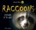 Raccoons : Scavengers of the Night cover