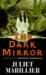 The Dark Mirror : Book One of the Bridei Chronicles cover