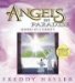 Angels in Paradise : Shores of Eternity cover