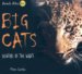 Big Cats : Hunters of the Night cover