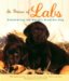 In Praise of Labs cover