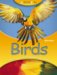 Birds cover