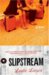 Slipstream : A Novel cover