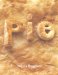 Pie cover