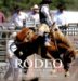 Rodeo & Western Riding cover