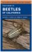 Field Guide to Beetles of California cover