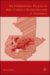 The International Politics of Post-Conflict Reconstruction in Guatemala cover
