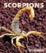 Scorpions cover