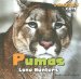 Pumas : Lone Hunters cover