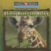 Animal Heads And Necks cover