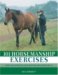 101 Horsemanship Exercises : Ideas for Improving Groundwork and Ridden Skills cover
