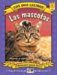 Las mascotas/ The Pets : Nivel 1/ Level 1 cover