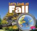  Let's Look at Fall