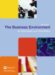 The Business Environment cover
