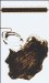 Censoring the Moving Image cover