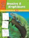 Draw And Color Reptiles & Amphibians : Learn to Draw and Color 29 Different Reptiles & Amphibians, Step By Easy Step, Shape By Simple Shape! cover