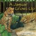 A Jaguar Grows Up cover