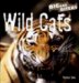 Wild Cats cover