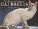 The Ultimate Guide to Cat Breeds cover