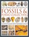 The World Encyclopedia Of Fossils And Fossil-Collecting cover