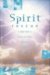 Spirit Rescue : A Simple Guide to Talking with Ghosts and Freeing Earthbound Souls cover