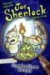 Joe Sherlock, Kid Detective : The Headless Mummy  Case 000004 cover