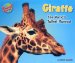 Giraffe : The World's Tallest Mammal cover