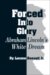 Forced into Glory : Abraham Lincoln's White Dream cover