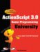  Gary Rosenzweig's Actionscript 3.0 Game Programming University