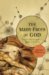 Many Faces of God : Science's 400-year Quest for Images of the Divine cover