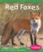 Red Foxes cover