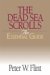 The Dead Sea Scrolls : An Essential Guide cover