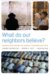 What Do Our Neighbors Believe? : Questions And Answers On Judiasm, Christianity, and Islam cover