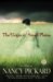 The Virgin of Small Plains cover