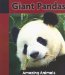 Giant Pandas cover