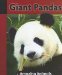Giant Pandas cover