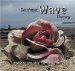 Dominant Wave Theory cover