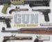 Gun : A Visual History cover