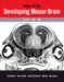  Atlas of the Developing Mouse Brain: E17.5, P0 and P6
