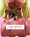 Dogs-a-Porter : (Pooches in Purses) cover