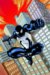 Spider-Man Family : Back in Black cover