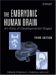 The Embryonic Human Brain : An Atlas of Developmental Stages cover