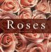 Roses cover