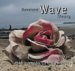 Dominant Wave Theory cover