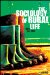 The Sociology of Rural Life cover