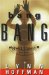 Bang Bang cover