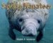 Saving Manatees cover