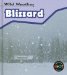 Blizzard cover