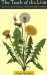 The Teeth of the Lion : The Story of the Beloved and Despised Dandelion cover