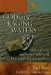 God in the Raging Waters : Stories of Love And Service Following Hurricanes Katrina And Rita cover